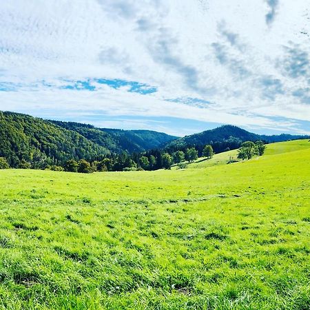 Ferienhaus Doina Gehlberg Bagian luar foto