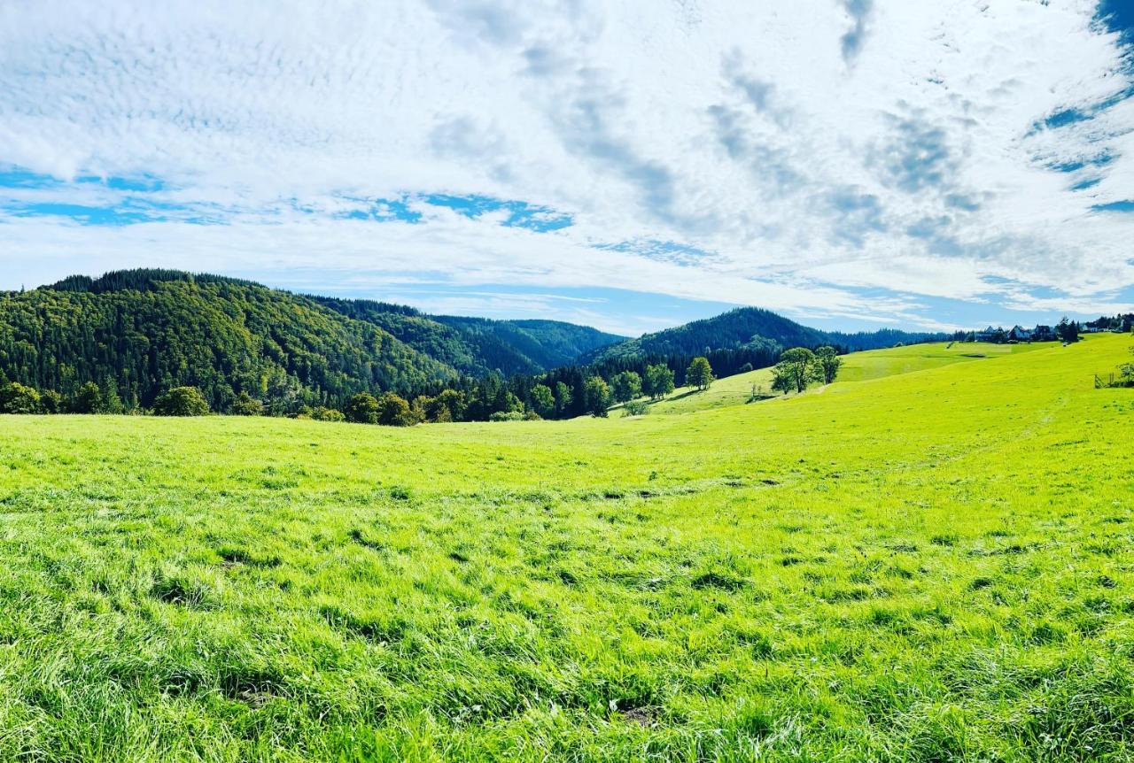 Ferienhaus Doina Gehlberg Bagian luar foto