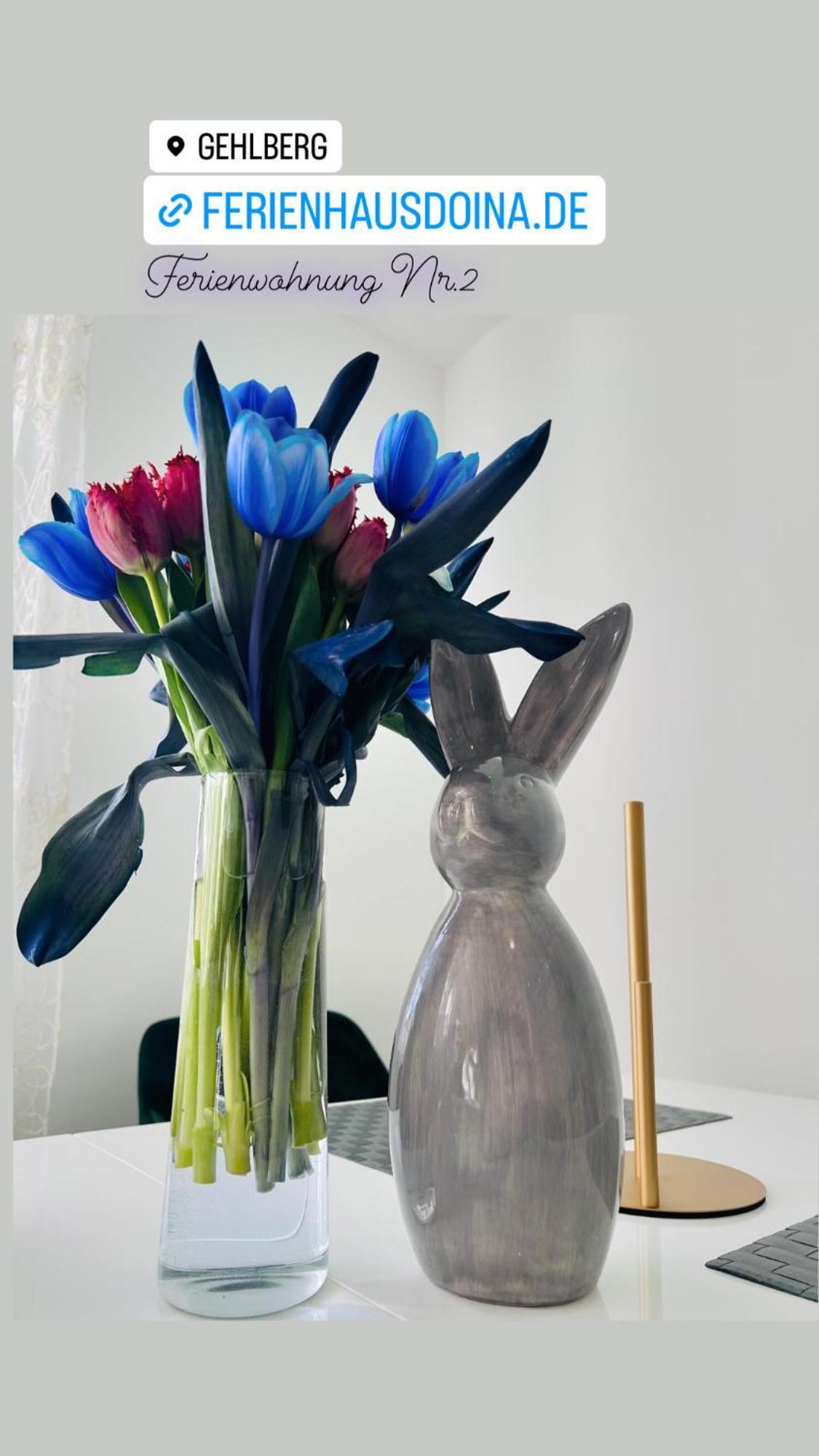 Ferienhaus Doina Gehlberg Bagian luar foto