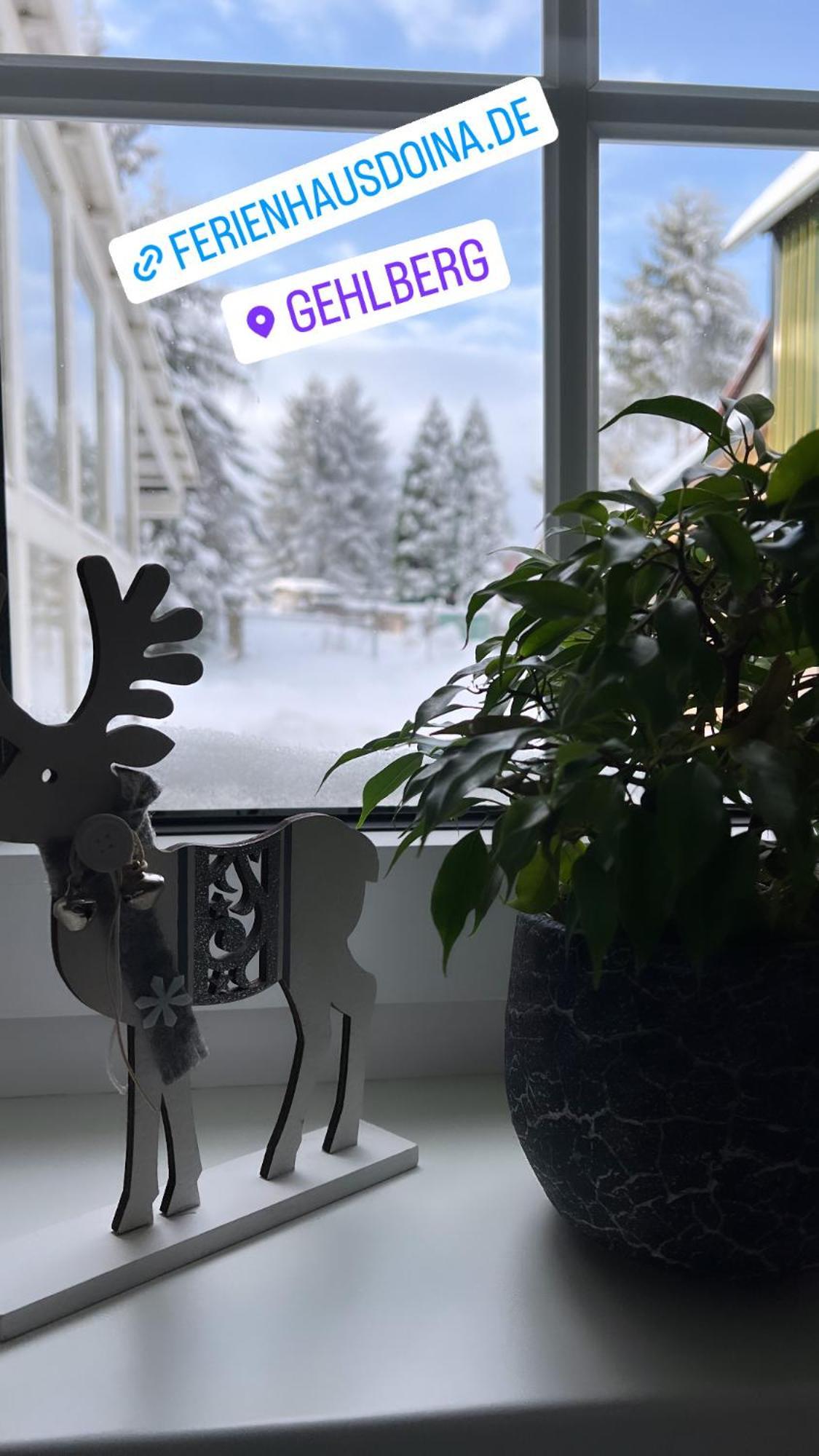 Ferienhaus Doina Gehlberg Bagian luar foto