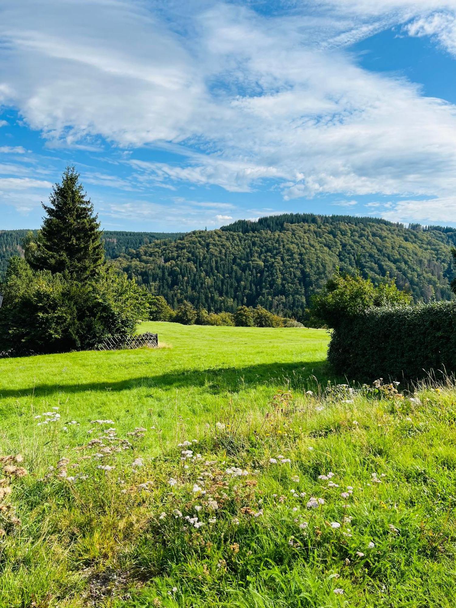 Ferienhaus Doina Gehlberg Bagian luar foto