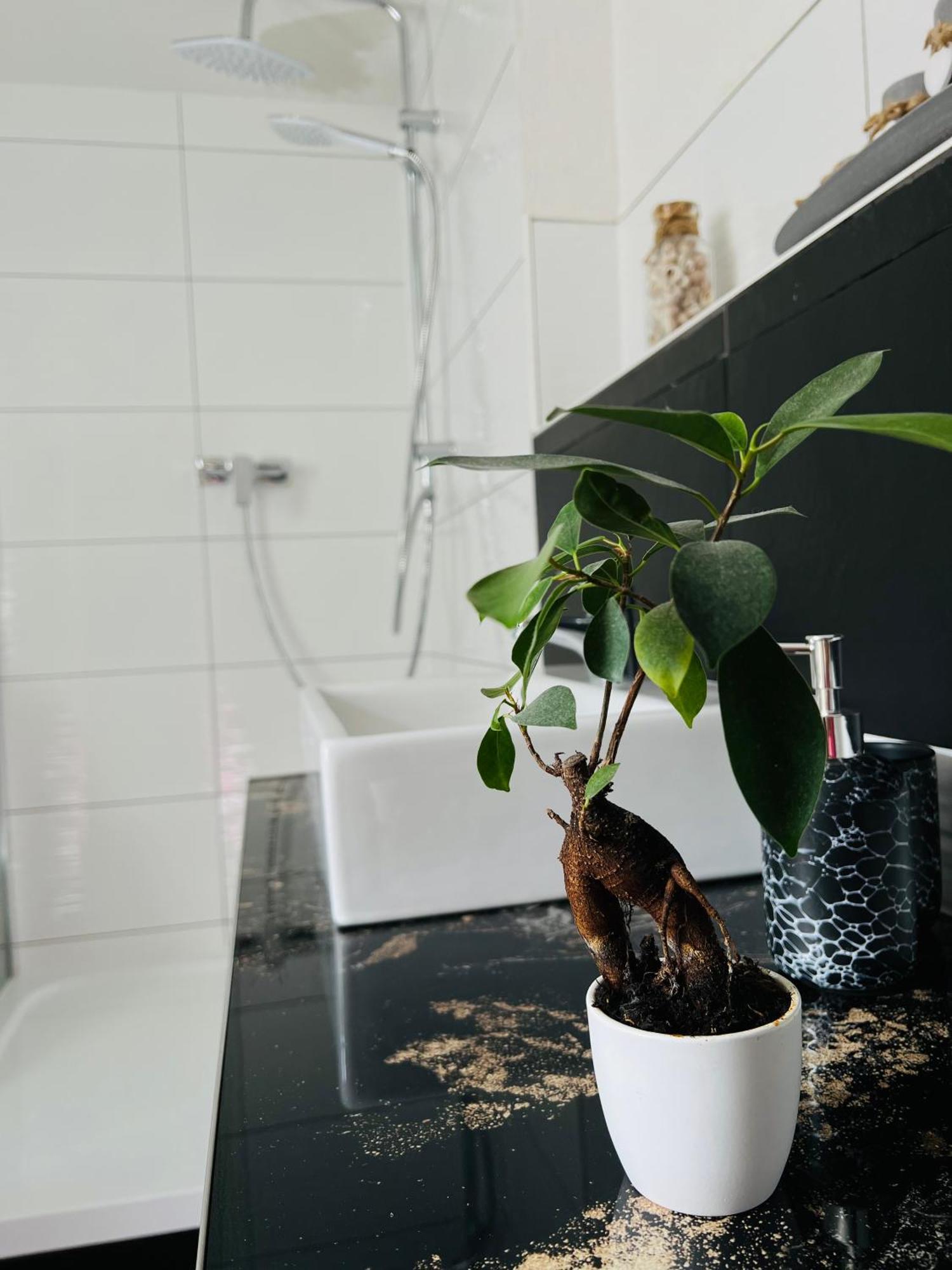 Ferienhaus Doina Gehlberg Bagian luar foto